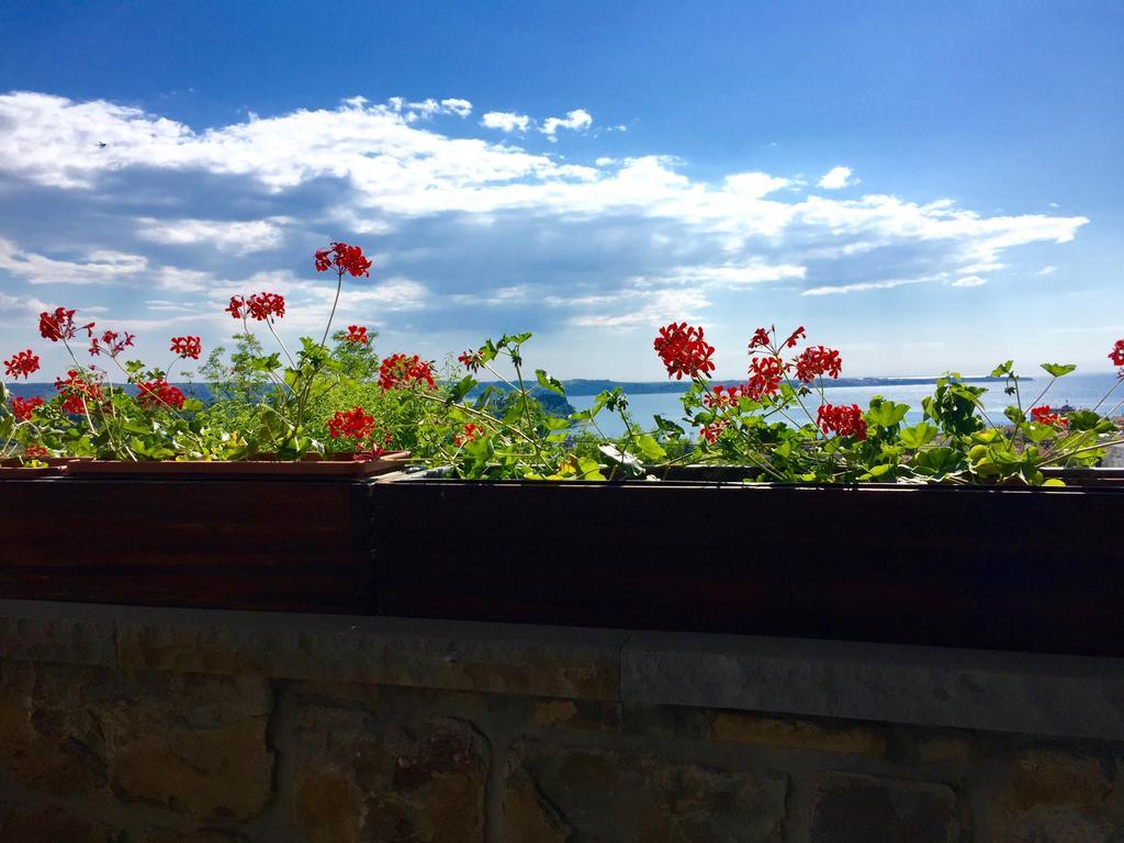 Istrian House Διαμέρισμα Πορτορόζ Εξωτερικό φωτογραφία
